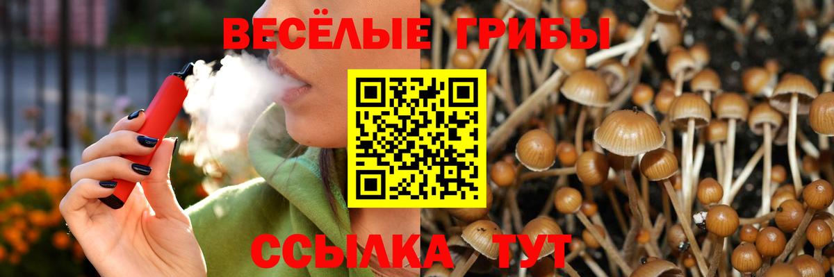 Галлюциногенные грибы MAGIC MUSHROOMS Курчатов